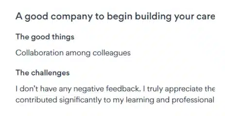 Text excerpt listing pros and cons of a company for career building, highlighting collaboration and lack of negative feedback